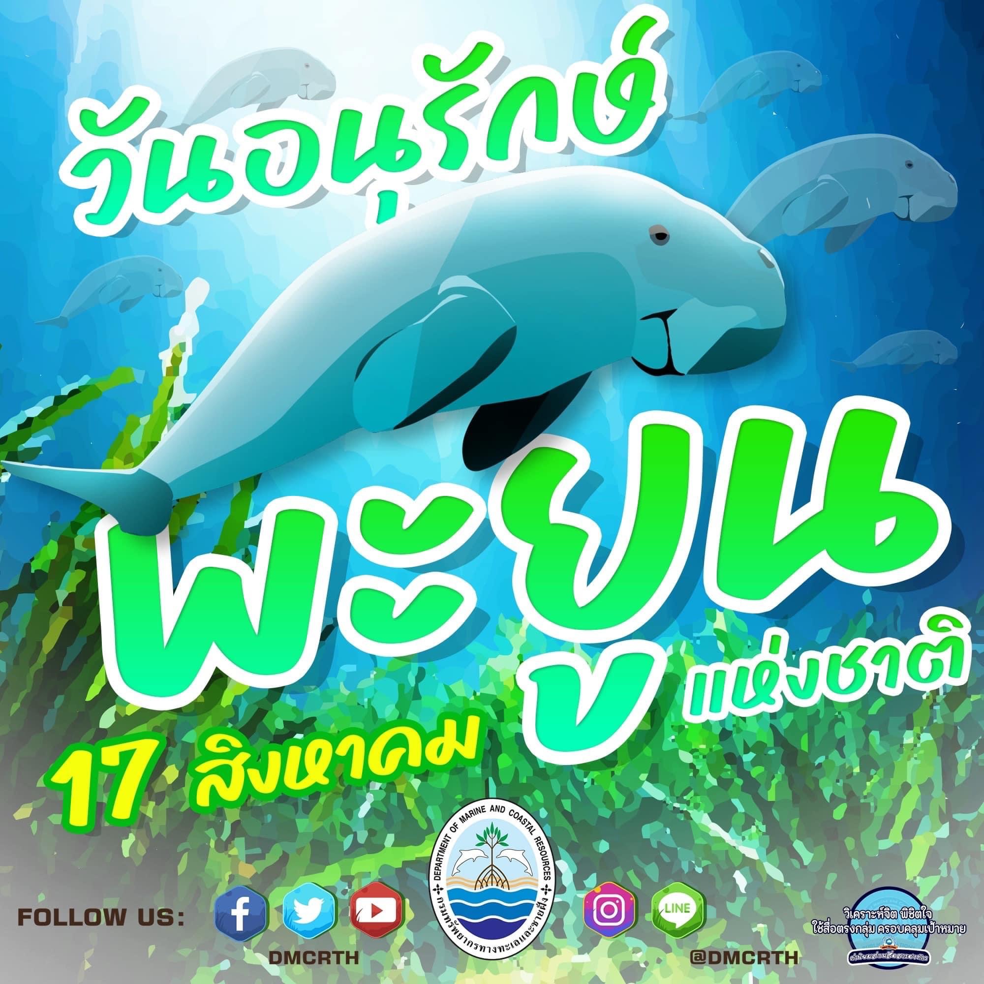 17 สิงหาคม "วันอนุรักษ์พะยูนแห่งชาติ"