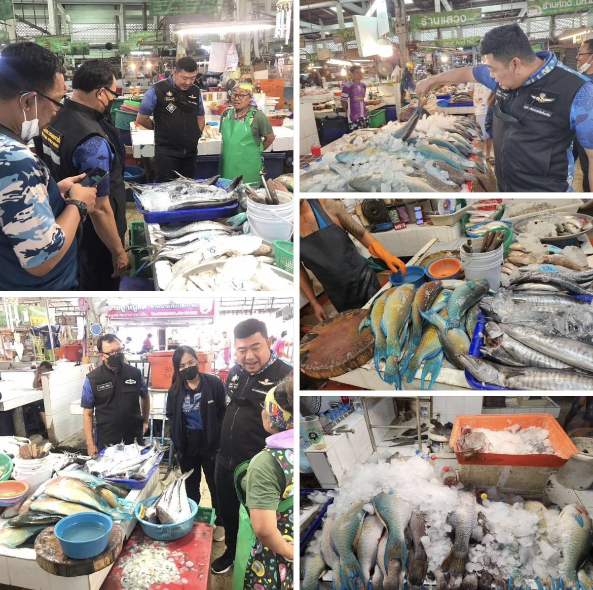 กรม ทช. ตรวจสอบเรื่องร้องเรียนการจำหน่ายปลานกแก้ว ตลาดเงินวิจิตร กทม.