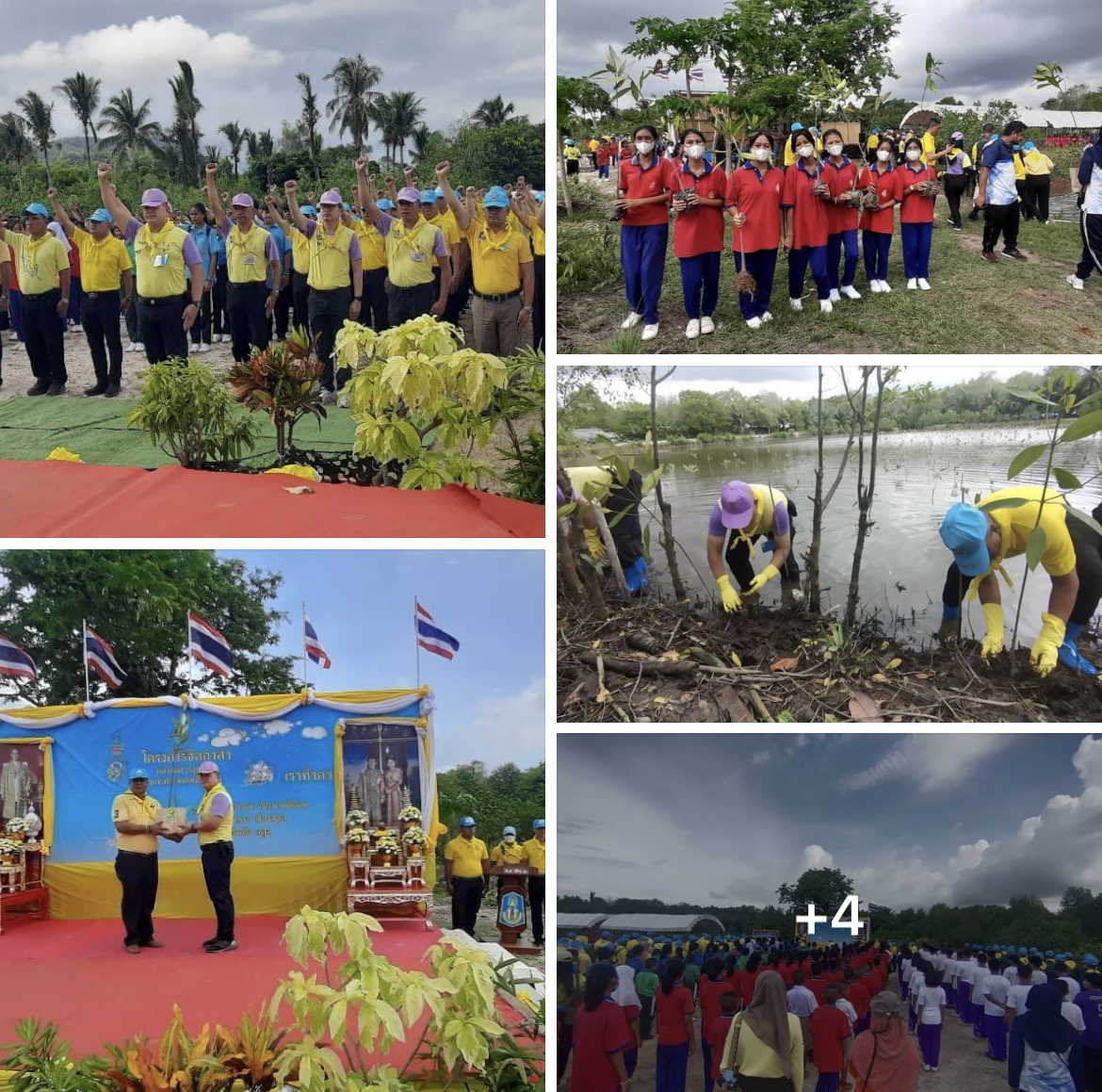 กรมทะเลชายฝั่ง ร่วมจัดกิจกรรมจิตอาสา “เราทำความดี ด้วยหัวใจ” โครงการจิตอาสาปลูกป่าชายเลน เพื่อถวายเป็นพระราชกุศลฯ