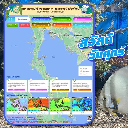ทะเลไทยมีอะไร สรุปสถานการณ์ทรัพยากรทางทะเลและชายฝั่ง