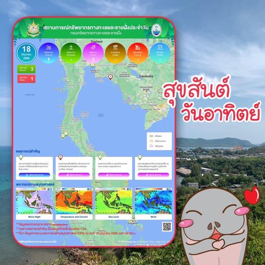 ทะเลไทยมีอะไร สรุปสถานการณ์ทรัพยากรทางทะเลและชายฝั่ง