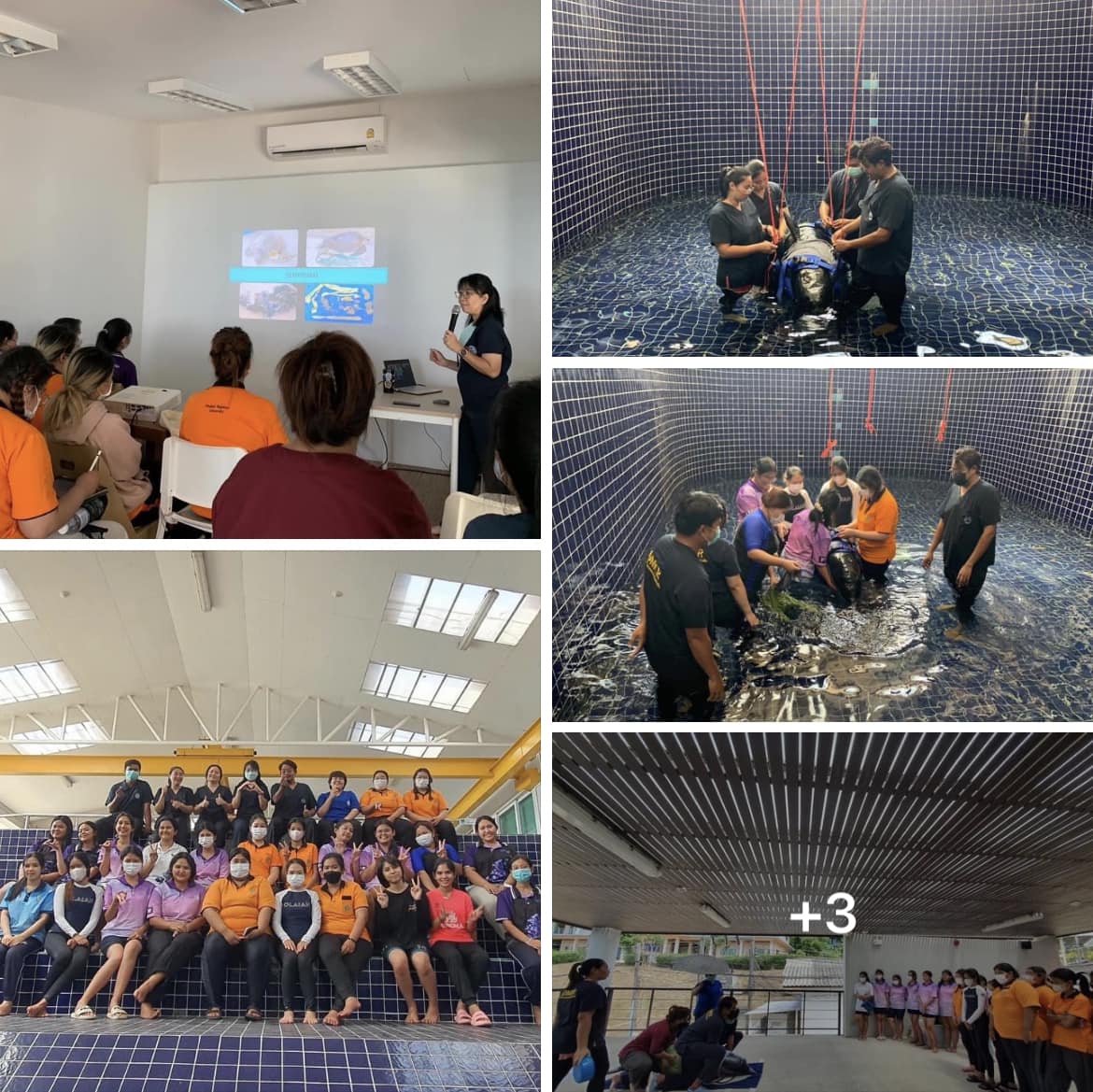 กรมทะเลชายฝั่ง ร่วมจัดโครงการอบรม "จิตอาสาช่วยชีวิตสัตว์ทะเลหายาก" รุ่นที่ 3 ณ ศูนย์ช่วยชีวิตสัตว์ทะเลหายากสิรีธาร จ.ภูเก็ต