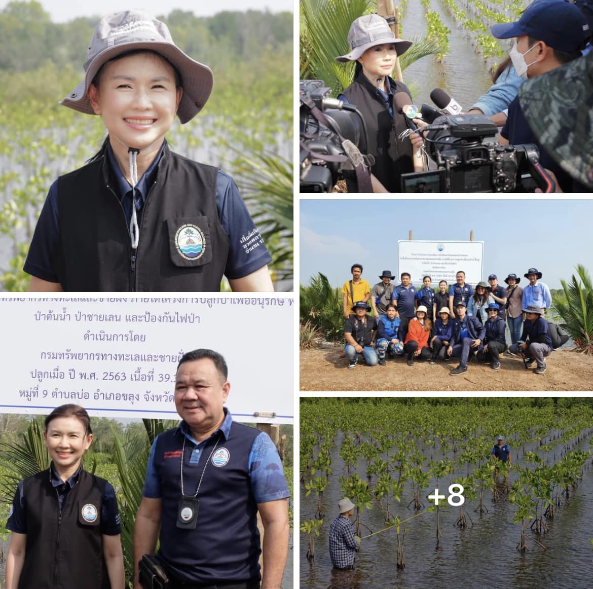 กรม ทช. ติดตามความคืบหน้าแปลงปลูกป่าชายเลนเพื่อประโยชน์จากคาร์บอนเครดิต พื้นที่แปลงปลูกป่าชายเลน จ.จันทบุรี
