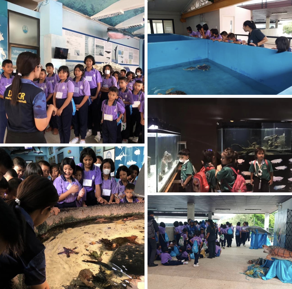 กรมทะเลชายฝั่ง บรรยายให้ความรู้เกี่ยวกับความหลากหลายของสิ่งมีชีวิตทางทะเล ระบบนิเวศทางทะเล