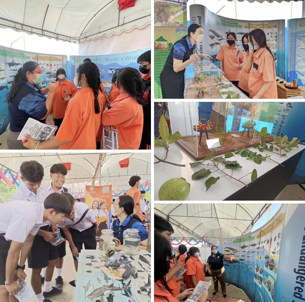กรมทะเลชายฝั่ง จัดแสดงนิทรรศการศูนย์เรียนรู้ธรรมชาติวิทยาสัตว์และพืชทะเลเคลื่อนที่ ในโครงการ อพ.สธ. จ.สมุทรสาคร