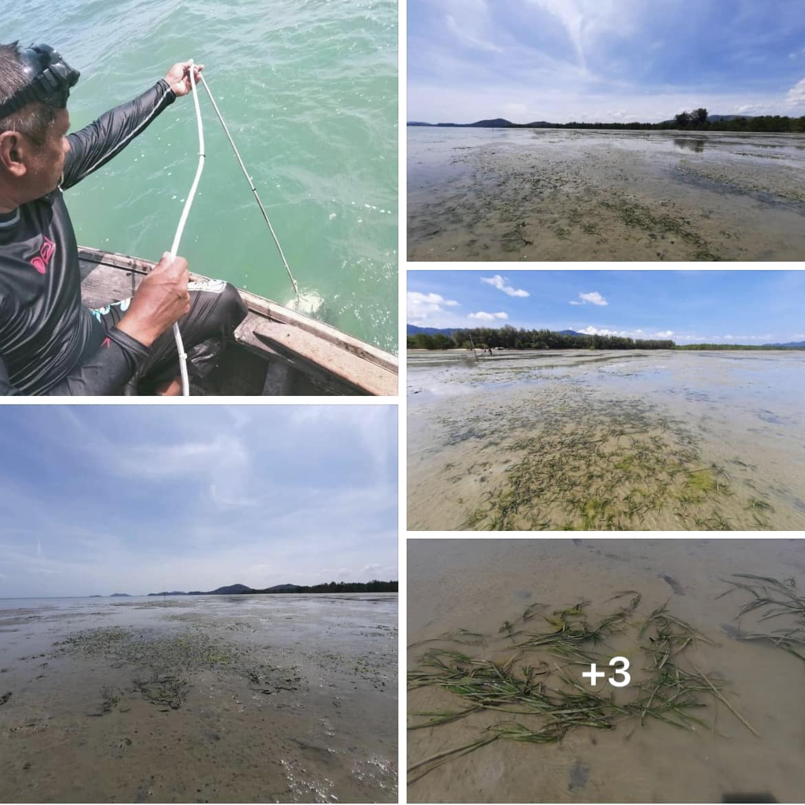 กรม ทช. สำรวจประเมินสถานภาพของแหล่งหญ้าทะเลบริเวณอ่าวป่าคลอก