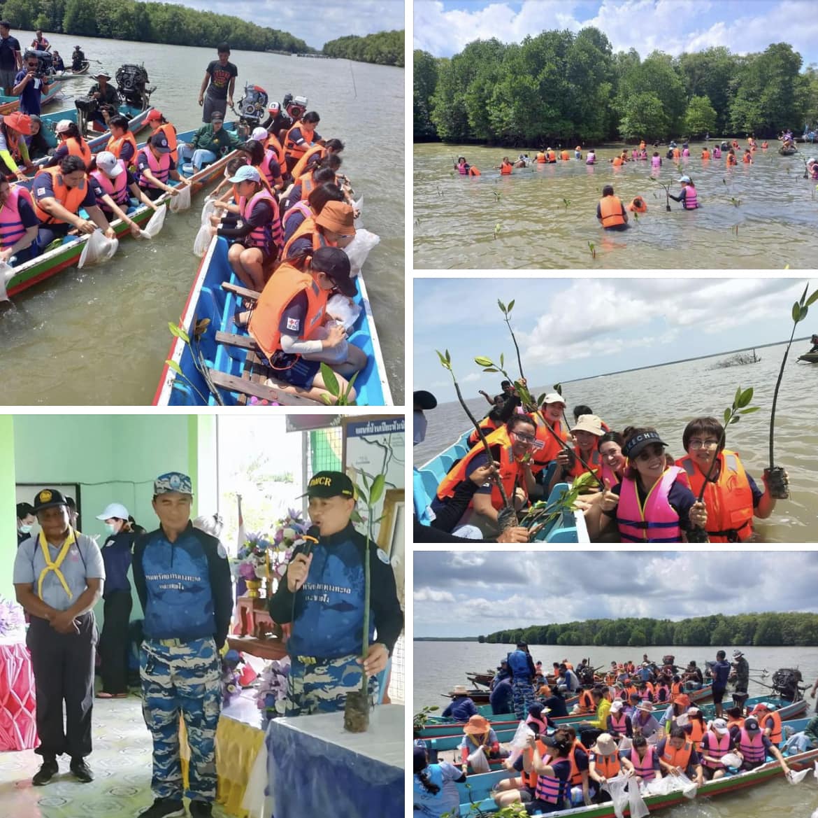 กรม ทช. ร่วมปล่อยพันธุ์สัตว์น้ำ และปลูกป่าชายเลน จ. นครศรีธรรมราช