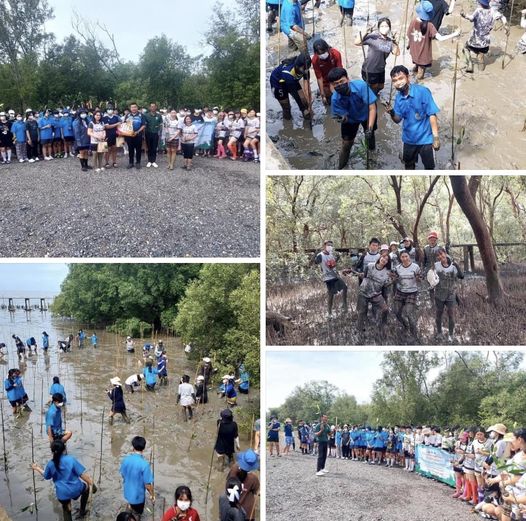 กรมทะเลชายฝั่ง จัดกิจกรรม “จิตอาสาสร้างสรรค์ รวมพลังปลูกป่าชายเลน” เพื่อถวายเป็นพระราชกุศลฯ