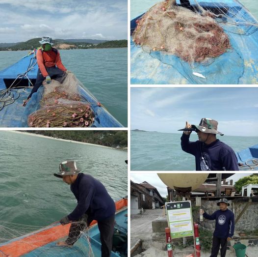 กรมทะเลชายฝั่ง สำรวจและเก็บตัวอย่างแมงกะพรุนพิษในพื้นที่ชายหาดท่องเที่ยว จ.สุราษฎร์ธานี