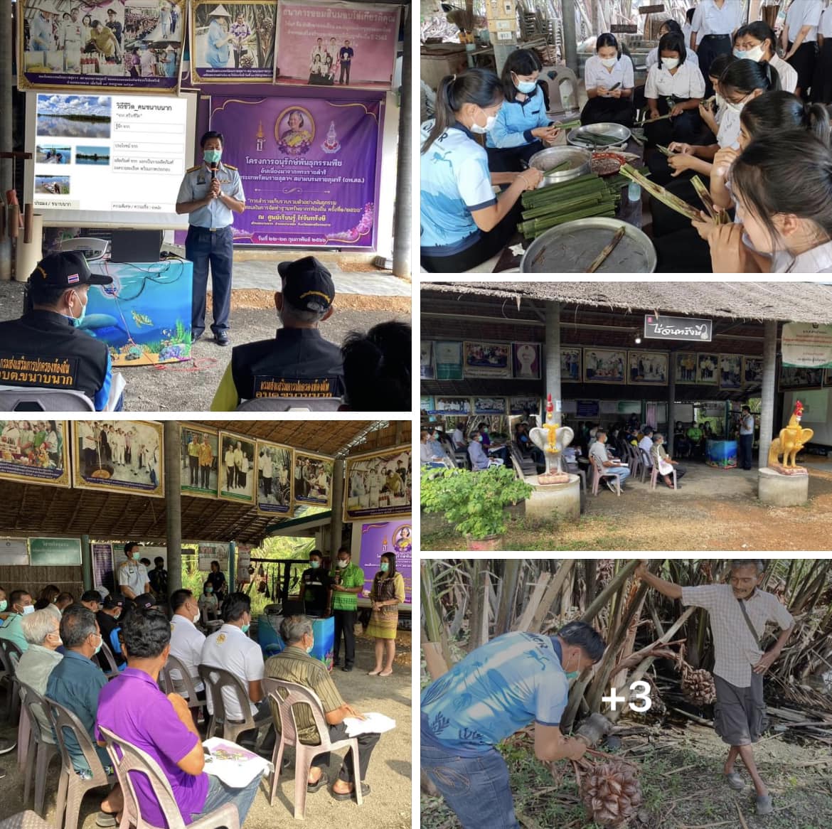กรมทะเลชายฝั่ง จัดฝึกอบรมหลักสูตร “การสำรวจเก็บรวบรวมตัวอย่างพันธุกรรมพืชและสัตว์ทะเลในการจัดทำฐานทรัพยากรในท้องถิ่น” ครั้งที่ 1/2566 จ.นครศรีธรรมราช
