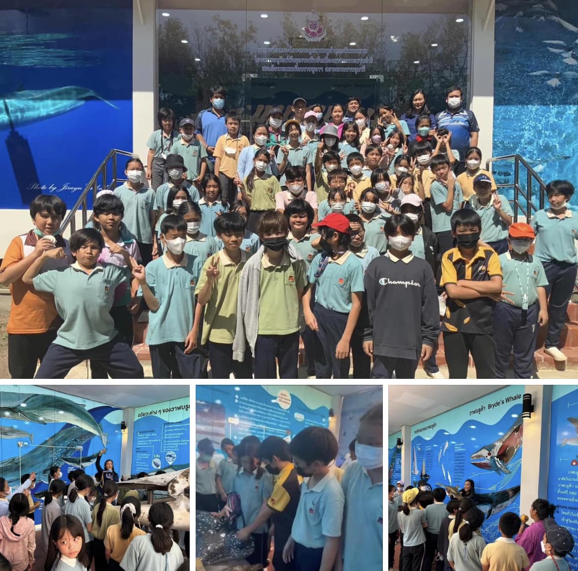 กรมทะเลชายฝั่ง บรรยายให้ความรู้เรื่องสัตว์ทะเลหายาก