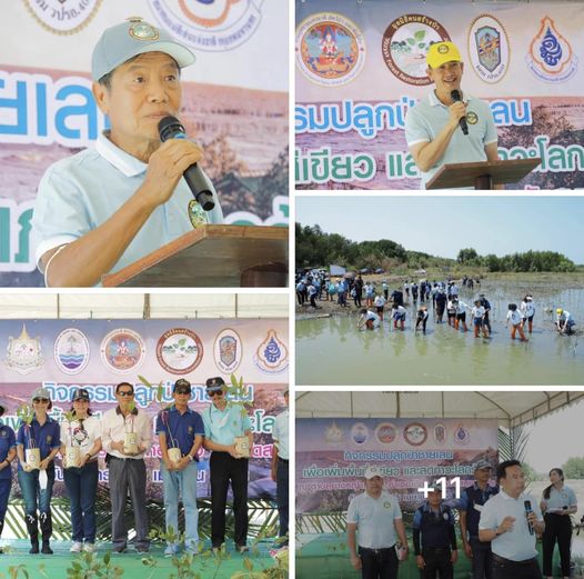 กรมทะเลชายฝั่ง จับมือมูลนิธิคนสร้างป่า จัดกิจกรรมปลูกป่าชายเลน เพื่อเพิ่มพื้นที่สีเขียว และลดภาวะโลกร้อน
