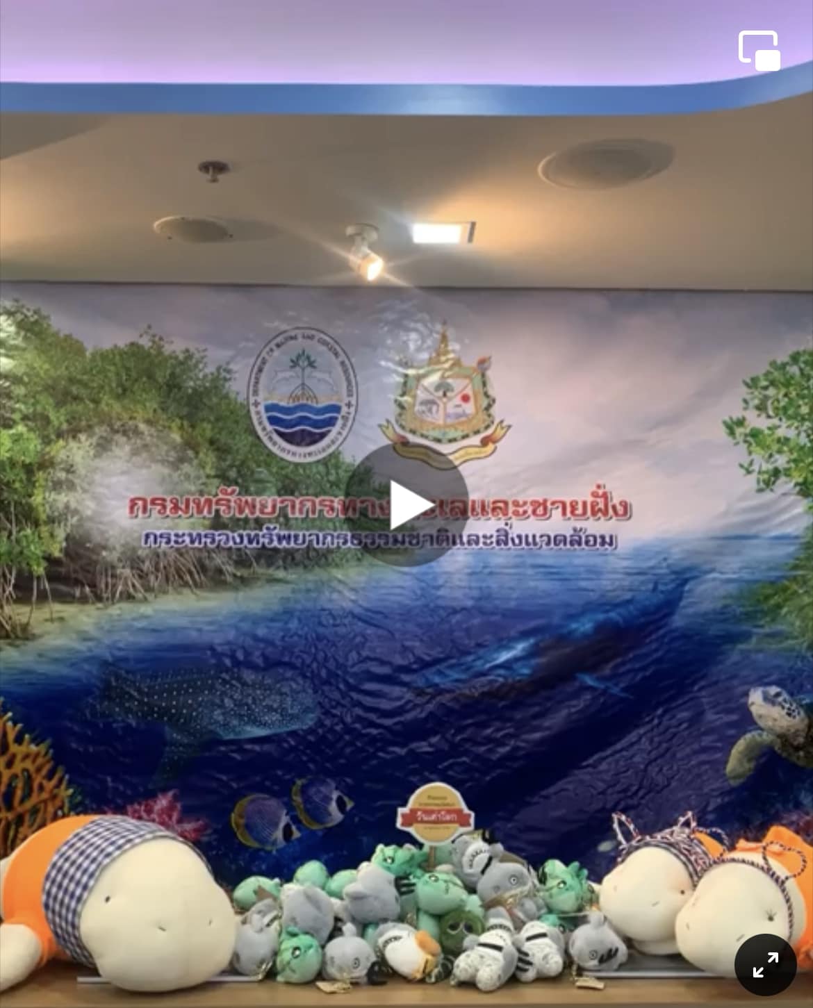 มาร่วมลุ้นรางวัลจากกิจกรรมทายคำปริศนา เนื่องในวันเต่าโลก