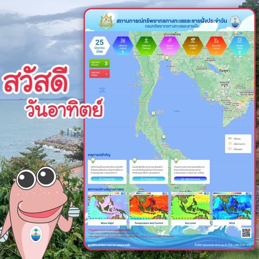 ทะเลไทยมีอะไร สรุปสถานการณ์ทรัพยากรทางทะเลและชายฝั่ง