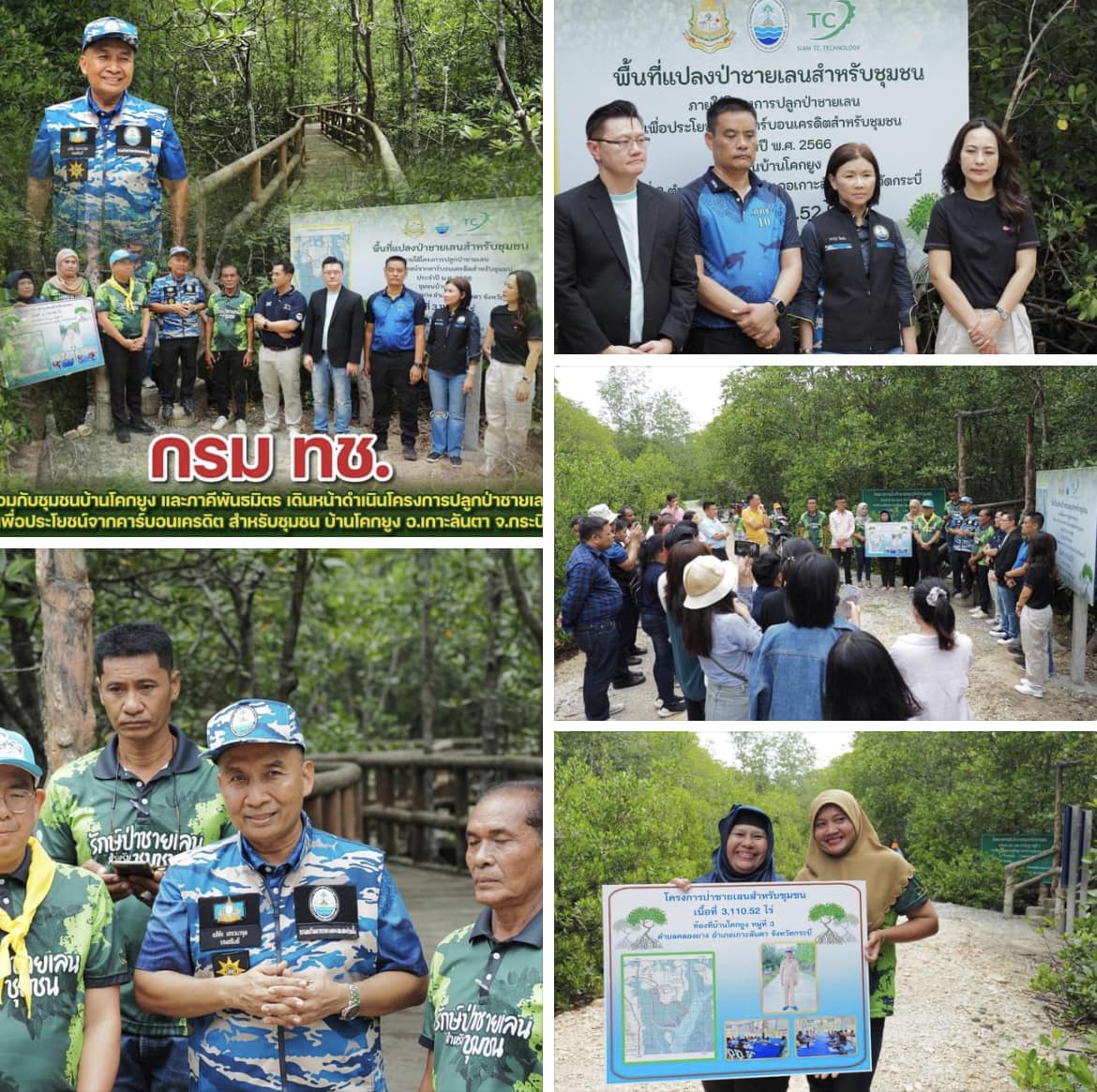กรม ทช. ร่วมกับชุมชนบ้านโคกยูง เดินหน้าดำเนินโครงการปลูกป่าชายเลนเพื่อประโยชน์จากคาร์บอนเครดิต สำหรับชุมชน จ.กระบี่