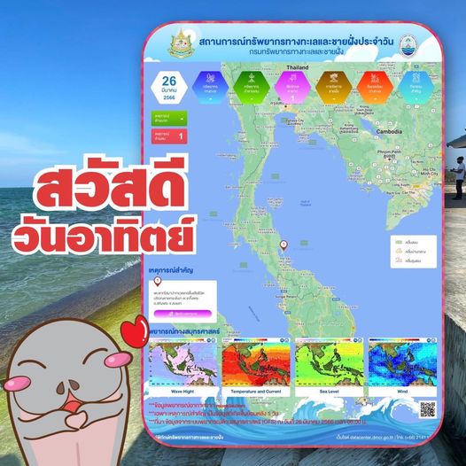 ทะเลไทยมีอะไร สรุปสถานการณ์ทรัพยากรทางทะเลและชายฝั่ง