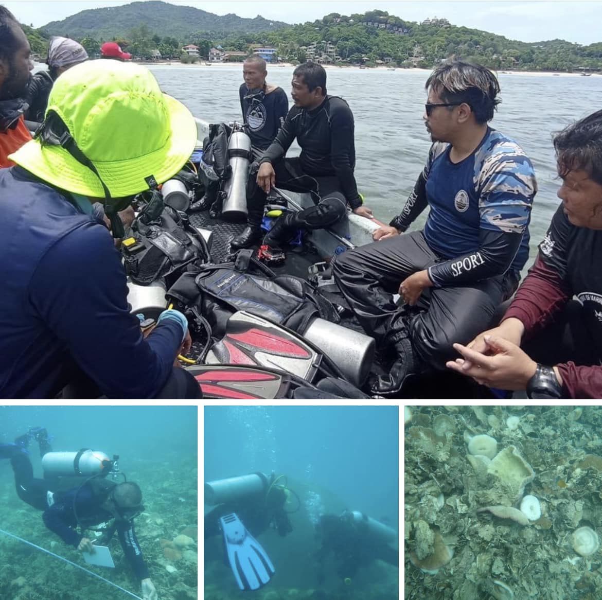 กรม ทช. สำรวจและตรวจสอบเพื่อประเมินความเสียหายจากกรณี เรือพีรียา จมทับแนวปะการังบริเวณอ่าวโฉลกบ้านเก่า จ.สุราษฎร์ธานี