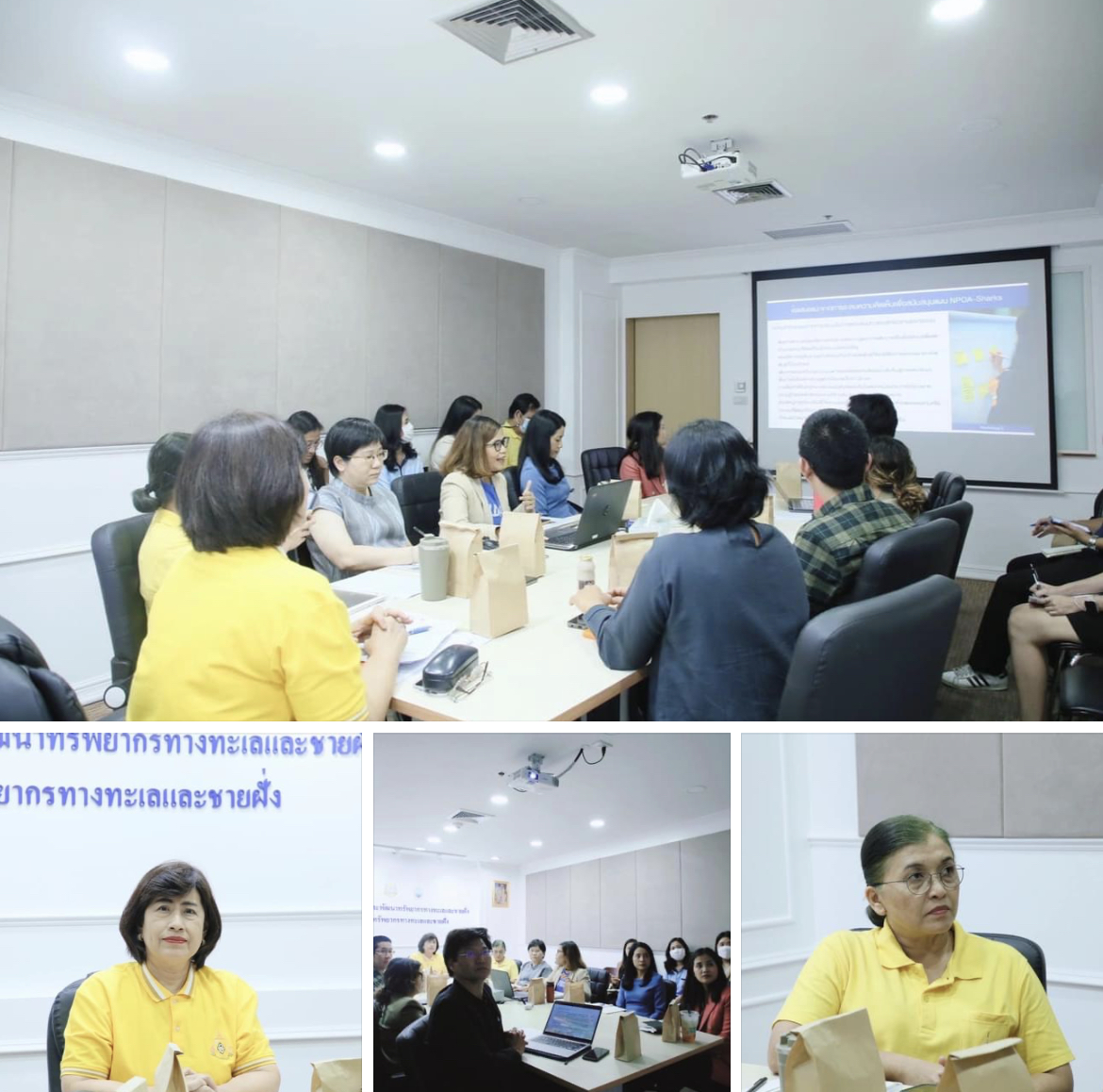 ทช. จัดประชุมหารือการยื่นข้อเสนอแนะด้านนโยบายฯ เสริมสร้างศักยภาพในการอนุรักษ์ปลาฉลามและปลากระเบนในประเทศไทย