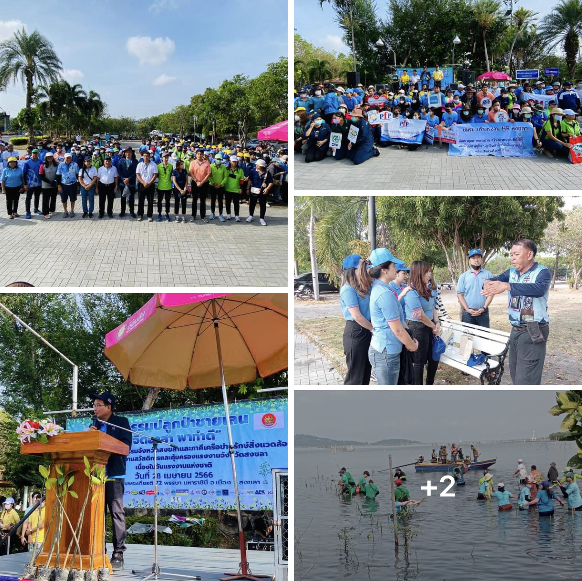 กรมทะเลชายฝั่ง ร่วมเป็นวิทยากรบรรยายให้ความรู้เกี่ยวกับการอนุรักษ์ทรัพยากรป่าชายเลน