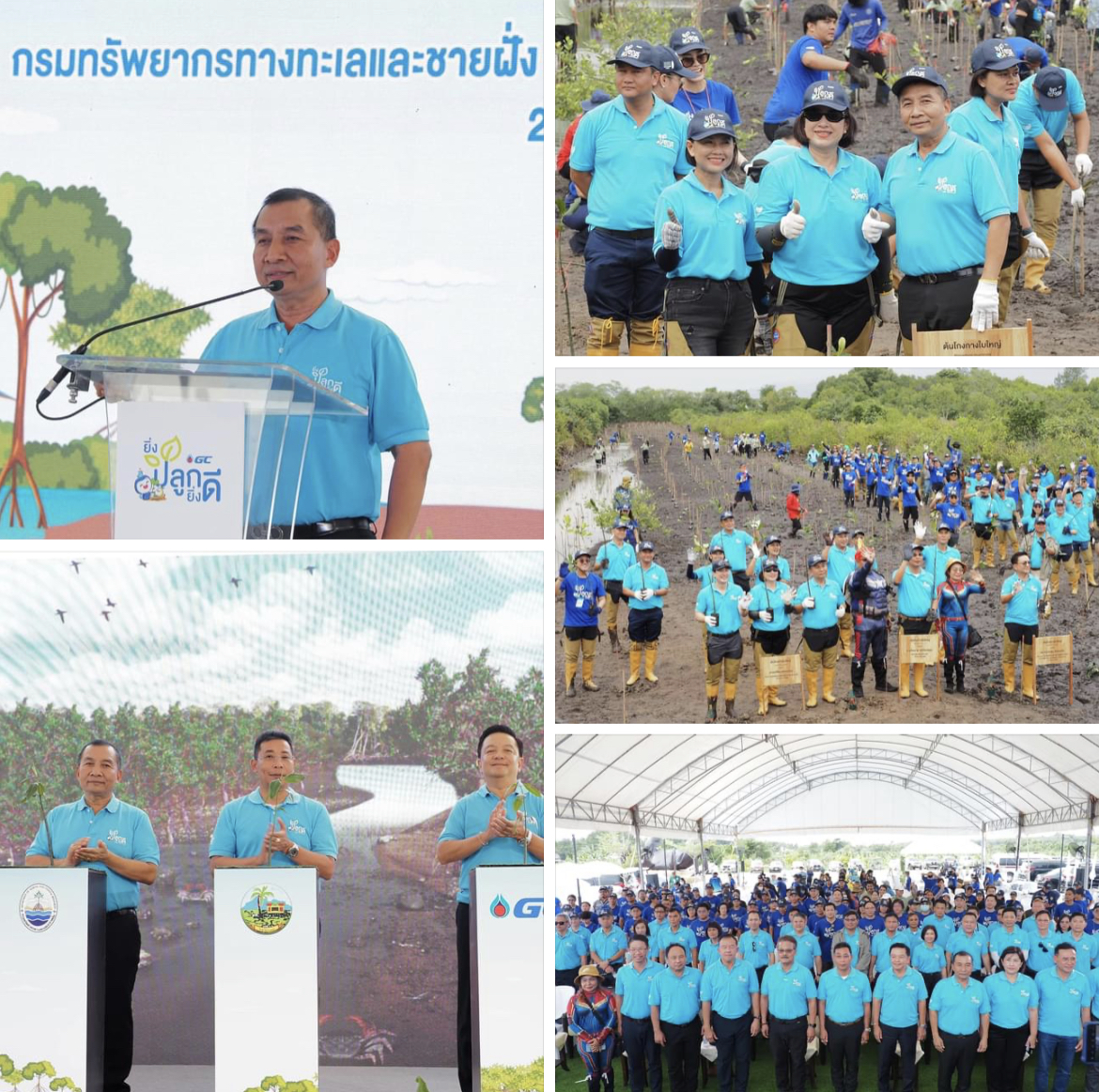 กรมทะเลชายฝั่ง ร่วมกับ GC แสดงเจตนารมย์ ปลูกป่าชายเลนกักเก็บคาร์บอนเครดิต "ยิ่งปลูก ยิ่งดี"