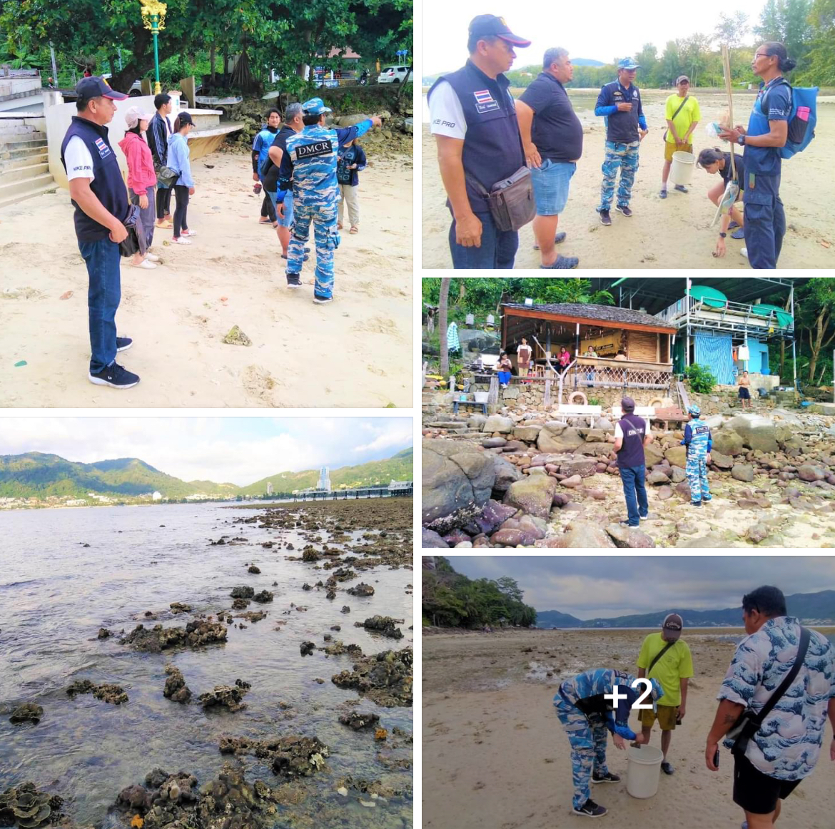 กรมทะเลชายฝั่ง ตรวจสอบข้อร้องเรียนคนเก็บหอยมือเสือ หาดไตรตรัง จ.ภูเก็ต