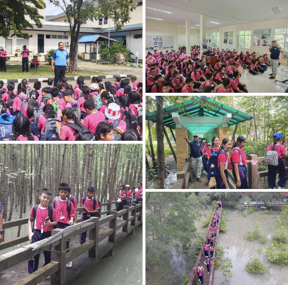 กรมทะเลชายฝั่ง นำเยาวชนศึกษาเรียนรู้บริเวณป่าในเมืองจังหวัดสตูล
