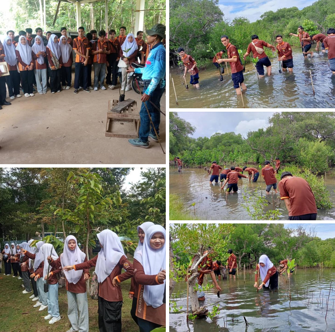 กรม ทช. จัดกิจกรรมโครงการรัฐประศาสนศาสตร์รวมใจอนุรักษ์ทรัพยากรชายฝั่งทะเล ณ ป่าชายเลนบริเวณบ้านตะโละสะมิแล
