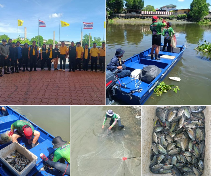กรมทะเล เข้าร่วมกิจกรรมและสนับสนุนเรือทรัพยากรฯ ท้องแบน พร้อมเจ้าหน้าที่ ในกิจกรรมลงแขกลงคลองใช้เครื่องมือทำการประมงอวนล้อมจับและอวนรุนจับปลาหมอคางดำ ณ คลองมหาชัย และแม่น้ำท่าจีน อำเภอเมืองสมุทรสาคร จังหวัดสมุทรสาคร