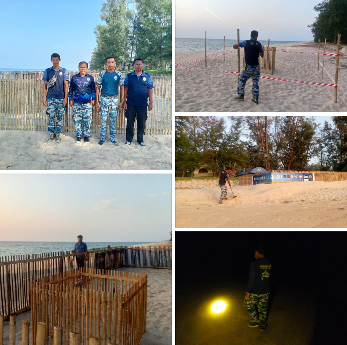 กรมทะเลชายฝั่ง เฝ้าระวังและติดตามสถานการณ์เต่ามะเฟือง หาดท่าไทร จ.พังงา