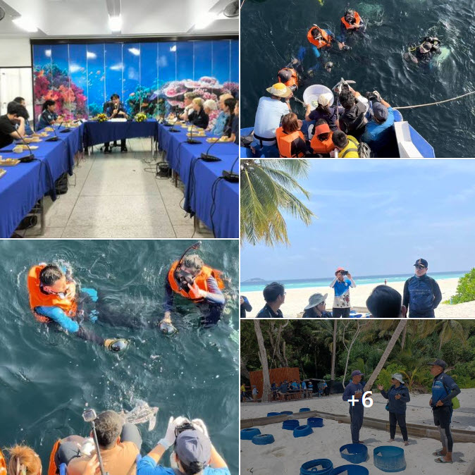 กรมทะเล จัดกิจกรรมปล่อยเต่ามะเฟืองคืนสู่ธรรมชาติ