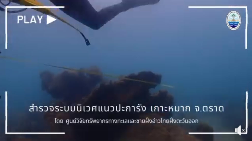 กรมทะเล พาชมการสำรวจระบบนิเวศแนวปะการังด้วยวิธีการ Line transect ของนักวิจัย