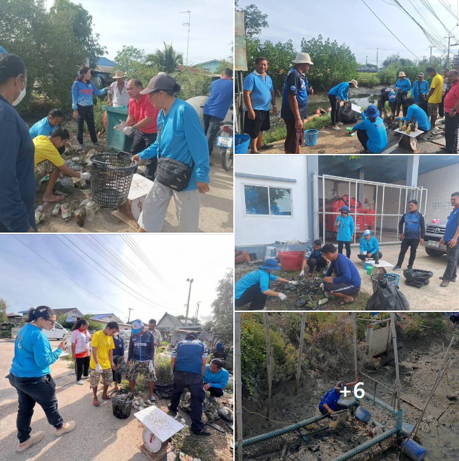 กรมทะเลชายฝั่ง เก็บขยะจากทุ่นกักขยะ (Boom) และ (Litter trap) จ.เพชรบุรี