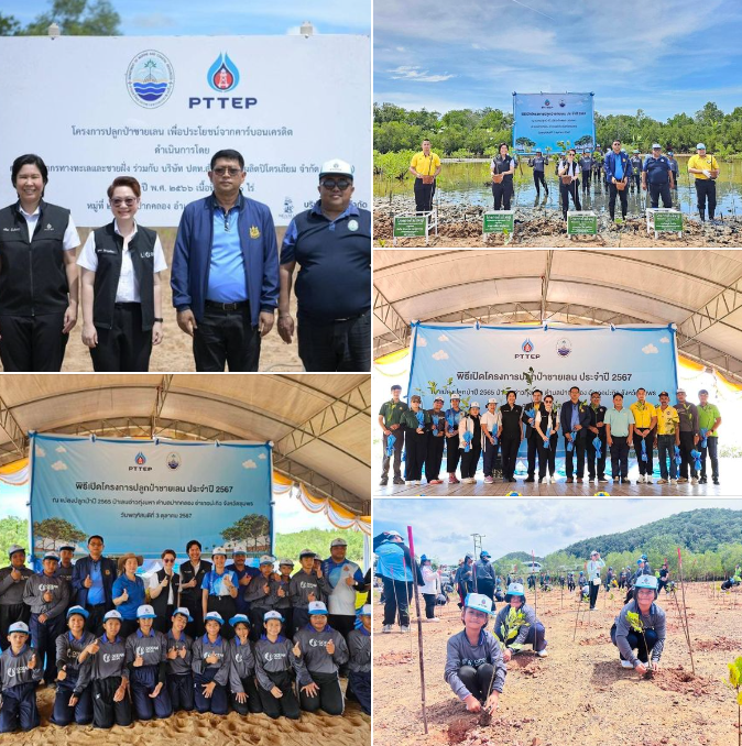 กรมทะเล ร่วมกับบริษัท ปตท.สำรวจและผลิตปิโตรเลี่ยม จำกัด(มหาชน) จัดโครงการปลูกป่าชายเลน ประจำปี 2567