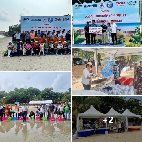 กรมทะเล ร่วมกับชมรมรักษ์เกาะมันใน ร่วมจัดกิจกรรมอนุรักษ์เต่าทะเลโดยการอนุบาล เพื่อปล่อยคืนสู่ท้องทะเล บริเวณชายหาดอ่าวไข่ ตำบลกร่ำ อำเภอแกลง จังหวัดระยอง