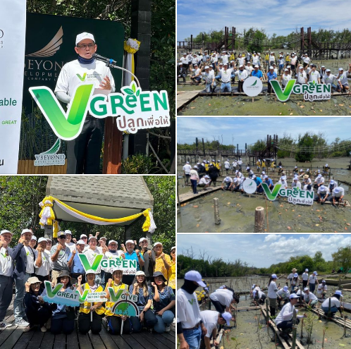 กรมทะเล ร่วมเครือข่ายภาคเอกชนทำกิจกรรมปลูกป่าชายเลน ภายใต้โครงการ “V Green ปลูกเพื่อให้”