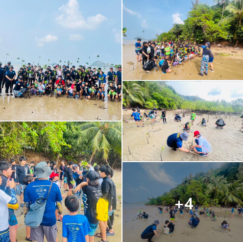 กรมทะเล จัดกิจกรรมปลูกป่าชายเลน ภายใต้โครงการ ดูแลรักษาทรัพยากรธรรมชาติและสิ่งแวดล้อม