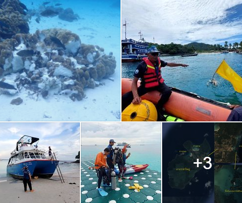 กรมทะเล ตรวจสอบพื้นที่ บริเวณที่เรือราชา 8 ประสบเหตุจม ณ เกาะราชาใหญ่ (อ่าวทือ) จังหวัดภูเก็ต