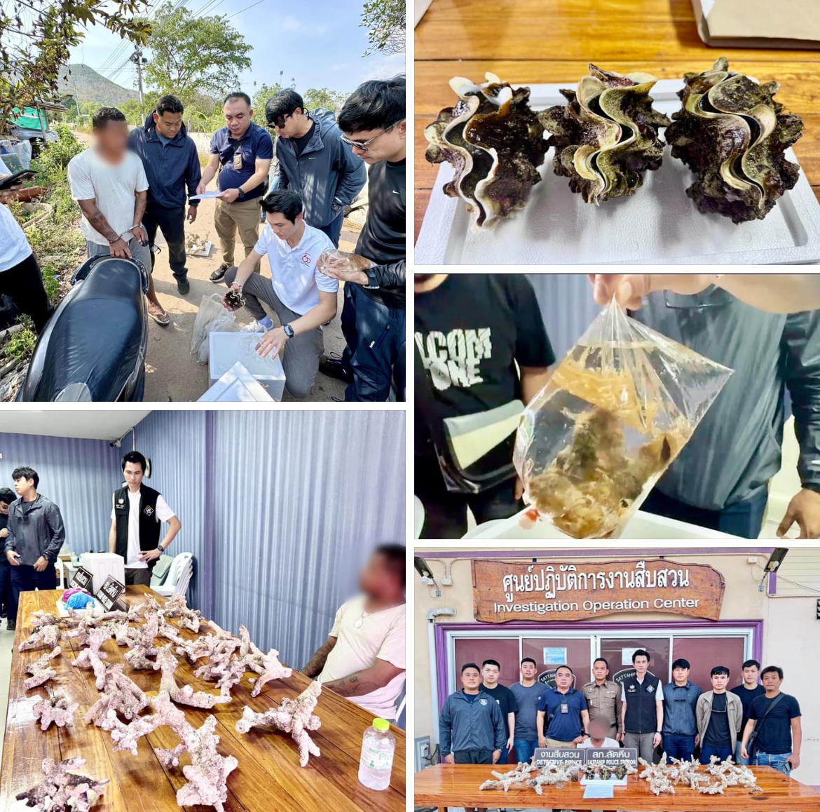 กรมทะเลชายฝั่ง จับกุมผู้ลักลอบซื้อขายสัตว์ทะเลที่เป็นสัตว์ป่าคุ้มครอง จ.ชลบุรี