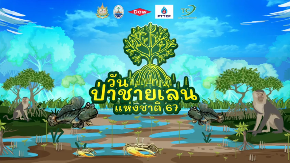 การถ่ายทอดสดกิจกรรมวันป่าชายเลนแห่งชาติ 2567