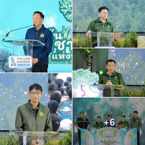 "พัชรวาท" ปลื้ม!! ป่าชายเลนไทยเพิ่มขึ้นกำชับ &rsquo;&rsquo;กรมทะเล&rsquo;&rsquo; อนุรักษ์ป่าชายเลนร่วมภาคี Thailand Mangrove Alliance เน้น 3 หลัก เศรษฐกิจ-สังคม-สิ่งแวดล้อม รับวันป่าชายเลนแห่งชาติ