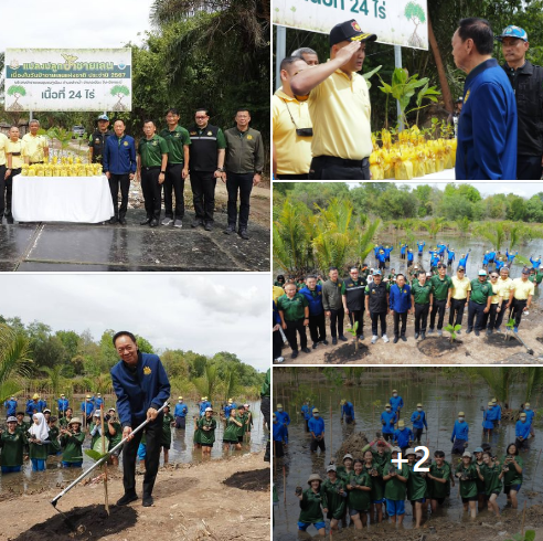 รมว.ทส. นำทีมปลูกป่าชายเลน ร่วมใจภักดิ์ รักษ์สิ่งแวดล้อม เฉลิมพระเกียรติพระบาทสมเด็จพระเจ้าอยู่หัว 6 รอบ 28 กรกฎาคม 2567