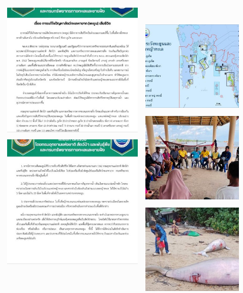 "พัชรวาท" สั่ง ทช. และอส. ตั้งวอร์รูมแก้ไขปัญหาพะยูนฝั่งอันดามันเสียชีวิต ย้ำขอความร่วมมือทุกภาคส่วนและประชาชนป้องกันอย่างเข้มข้น