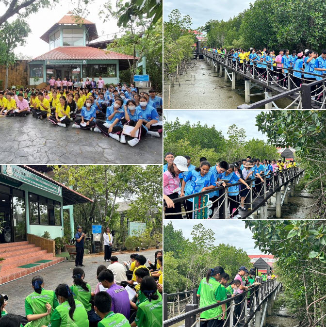 กรมทะเล พาเยาวชนศึกษาระบบนิเวศป่าชายเลน ณ ศูนย์ศึกษาธรรมชาติและอนุรักษ์ป่าชายเลนเพื่อการท่องเที่ยวเชิงนิเวศ ตำบลเสม็ด อำเภอเมือง จังหวัดชลบุรี