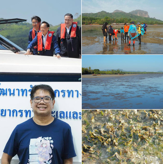 ดร.ธรณ์ ปลื้ม พัชรวาท มุ่งมั่นแก้ไขปัญหาหญ้าทะเลเสื่อมโทรม