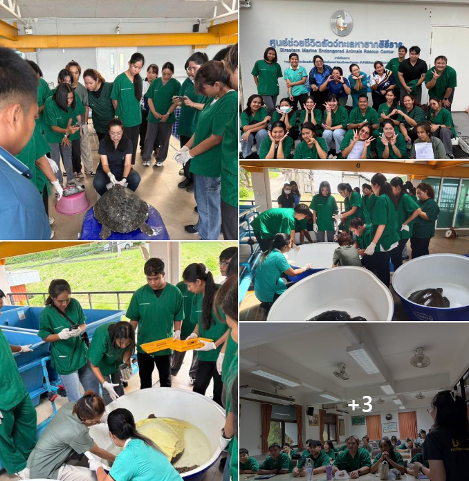 กรมทะเล สนับสนุนวิทยากรบรรยายให้ความรู้ด้านสัตว์ทะเลหายากแก่สถานศึกษา