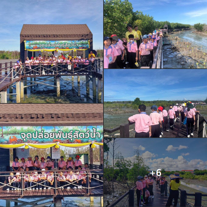 กรม ทช. พาศึกษาแหล่งเรียนรู้ทรัพยากรป่าชายเลน ณ ศูนย์ศึกษาธรรมชาติและอนุรักษ์ป่าชายเลนเพื่อการท่องเที่ยวเชิงนิเวศ ตำบลเสม็ด อำเภอเมือง จังหวัดชลบุรี