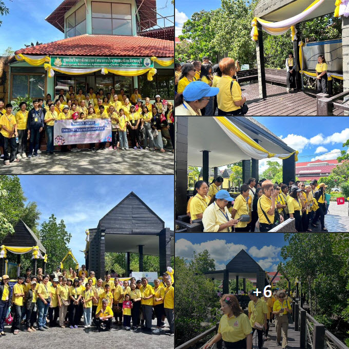 กรม ทช. พาเยี่ยมชมศูนย์ศึกษาธรรมชาติและอนุรักษ์ป่าชายเลนเพื่อการท่องเที่ยวเชิงนิเวศ ตำบลเสม็ด อำเภอเมือง จังหวัดชลบุรี