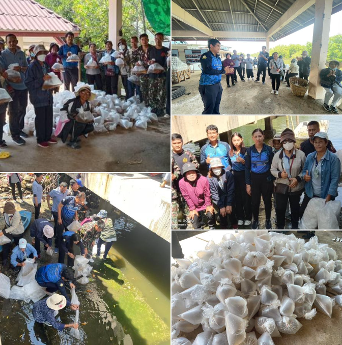 กรมทะเล ร่วมกิจกรรมปล่อยพันธุ์สัตว์น้ำกับชุมชนชายฝั่ง ภายใต้โครงการงบเงินอุดหนุน ประจำปี พ.ศ. 2567 ณ เขตห้ามล่าสัตว์ป่าพันท้ายนรสิงห์ ตำบลโคกขาม อำเภอเมืองสมุทรสาคร จังหวัดสมุทรสาคร