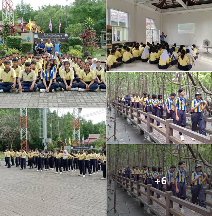 กรม ทช. พาเยี่ยมชมศึกษาเส้นทางธรรมชาติ บริเวณป่าในเมืองจังหวัดสตูล