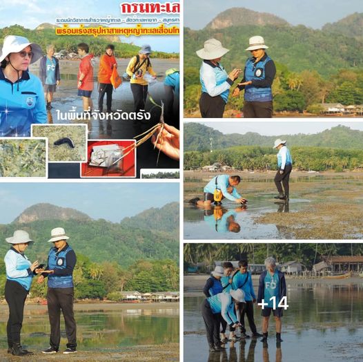 กรมทะเล ระดมนักวิชาการเร่งสรุปหาสาเหตุหญ้าทะเลเสื่อมโทรม จ.ตรัง